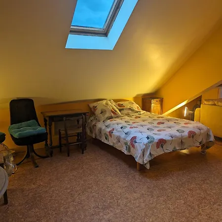 Lägenhet Grand Studio Independant 3Eme Etage A Cote De La Gare Moulins (Allier)